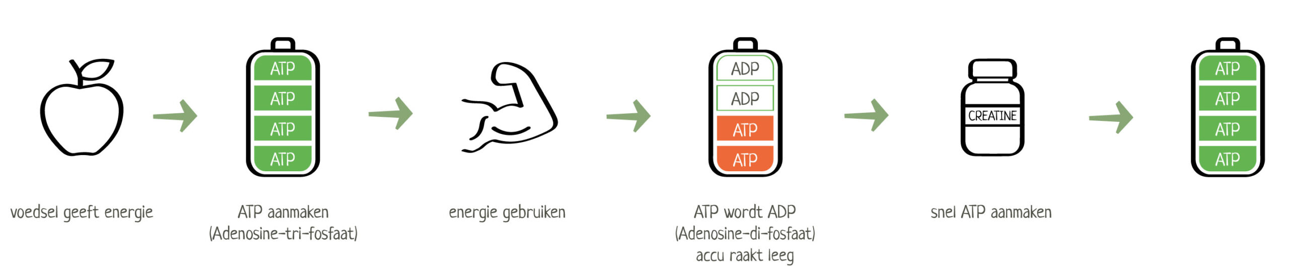 Infographic-ATP-2